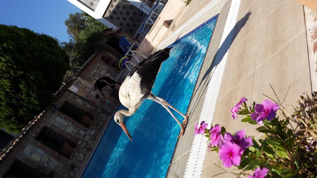 Akay Hotel 3*